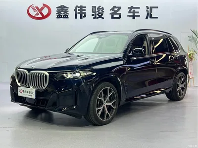 2025 BMW X5 Model xDrive 30Li Exclusive M Sport Blackout Package, фото 2, лот 10237894