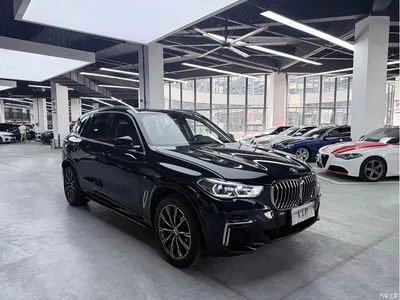 2023 BMW X5 xDrive 30Li Premium M Sport Package, фото 3, лот 10435186