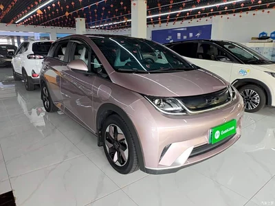 2024 BYD Dolphin Glory Edition 420km Fashion Edition, фото 4, лот 10765456