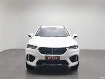 2017 WEY VV7 2.0T Flagship, фото 3, лот 11585220
