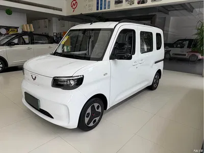 2025 Wuling Motors Wuling Zhiguang NEV Model 305km Base Version, фото 1, лот 10836417