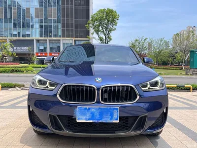 2020 BMW X2 sDrive25i Leading M Sport Package, фото 2, лот 10475430