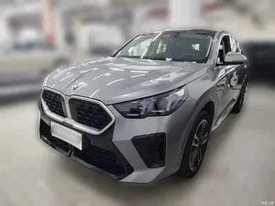 2024 BMW X2 (Import) sDrive25i M Sport Package, фото 3, лот 10475569