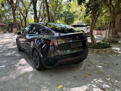 2024 Tesla Model Y Rear-Wheel Drive Version, фото 3, лот 10453253