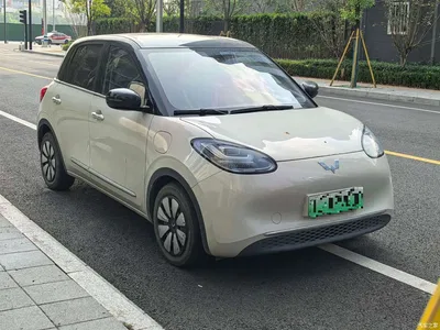 2023 Wuling Motors Wuling Bingo 333km Smart Connectivity Edition, фото 1, лот 11450917