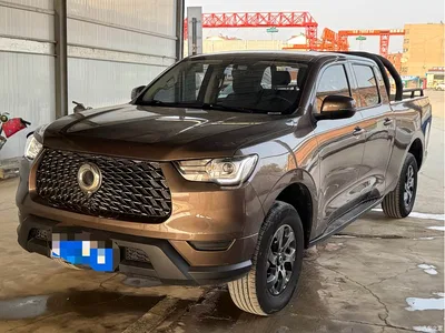 2021 Great Wall Pao 2.0T Commercial Edition Automatic Diesel 2WD Pilot Long Box GW4D20M, фото 1, лот 10246006