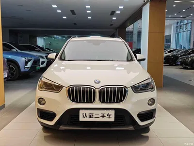 2016 BMW X1 sDrive18Li Premium Model, фото 3, лот 10916961