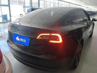 2022 Tesla Model 3 Model Rear-Wheel Drive Version, фото 3, лот 11249508