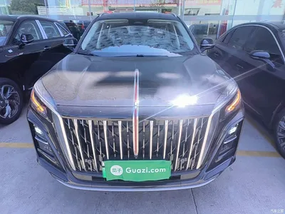 2025 Hongqi HS3 PHEV 125km Jingwei PLUS 2 Million Commemorative Edition, фото 3, лот 10289182