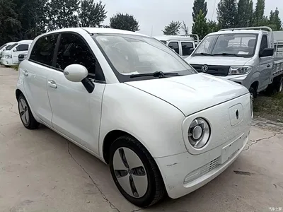 2021 Ora Black Cat 301km Basic Model, фото 4, лот 10330534