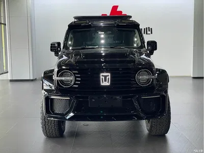 2021 Tank 300 Off-road Version 2.0T Conqueror, фото 2, лот 10444684
