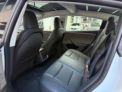 2023 Tesla Model 3 Rear-Wheel Drive, фото 4, лот 10361416