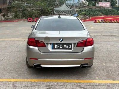 2013 BMW 5 Series 525Li Luxury, фото 4, лот 10450268
