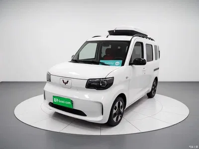 2025 Wuling Motors Wuling Zhiguang NEV Model 305km Base Version, фото 1, лот 10835383