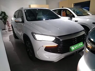 2024 BYD Song Pro New Energy Glory Edition DM-i 110KM Surpassing, фото 4, лот 10272497