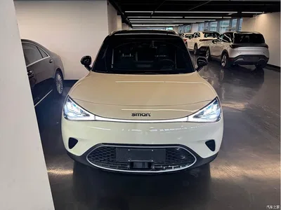 2026 smart Elf #1 Agile New Luxury Edition, фото 2, лот 11248588
