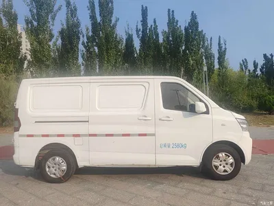 2022 Changan Changan Ruixing EM60 Pure Electric Van 4498mm Length Flat Roof Dual Doors 2-Seater 60kW 41.86kWh, фото 4, лот 11144966