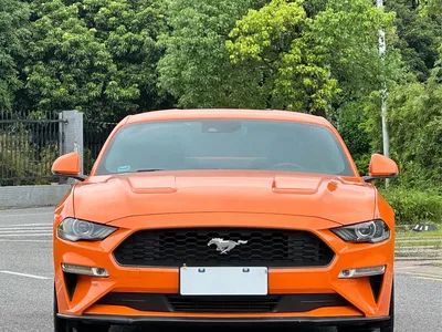 2020 Ford Mustang 2.3L EcoBoost, фото 1, лот 10294047