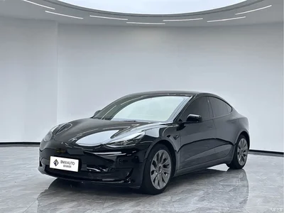 2022 Tesla Model 3 Model Rear-Wheel Drive Version, фото 1, лот 10620095