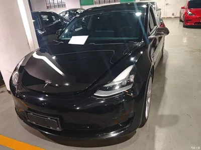 2020 Tesla Model 3 Standard Range Rear-Wheel Drive Upgrade, фото 3, лот 10463964