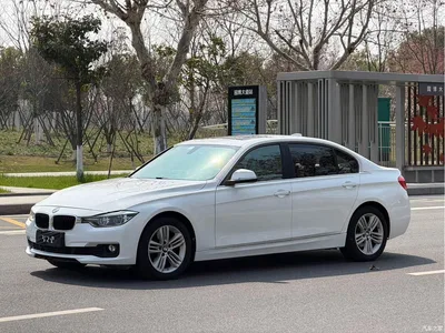 2016 BMW 3 Series 320Li Progressive, фото 1, лот 10457625