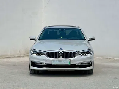 2019 BMW 5 Series New Energy 530Le Luxury Package, фото 2, лот 11449221