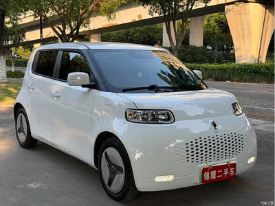 2020 Ora White Cat 360km Standard Model, фото 3, лот 10331323