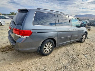 2010 HONDA ODYSSEY EXL, фото 3, лот 10691346