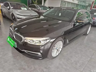 2020 BMW 5 Series New Energy 530Le Range Upgrade Pioneer Edition, фото 1, лот 10474131