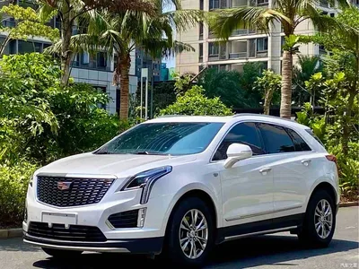 2020 Cadillac XT5 28T Luxury Model, фото 1, лот 10304788
