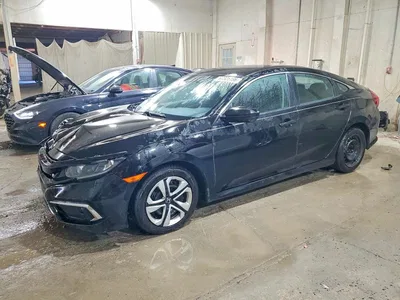 2019 HONDA CIVIC LX, фото 1, лот 11055760