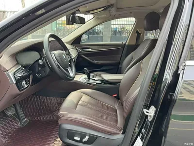 2020 BMW 5 Series 530Li Leading Luxury Package, фото 4, лот 11138735