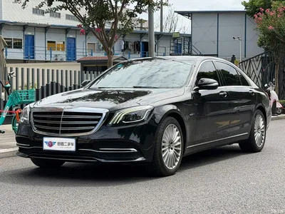 2020 Mercedes-Benz S-Class S 350 L Business Edition Collector's Version, фото 1, лот 10251946