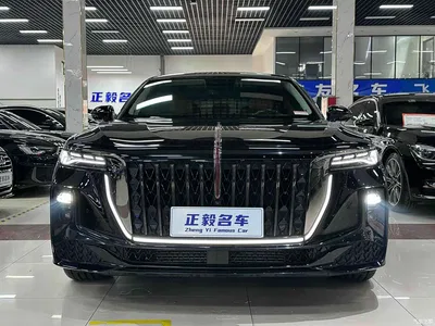 2024 Hongqi H9 2.0T Qi Chang Private Fashion Edition, фото 2, лот 10287531