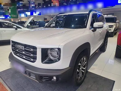 2021 Haval Big Dog 1.5T DCT 2WD Border Collie Edition, фото 2, лот 10804099