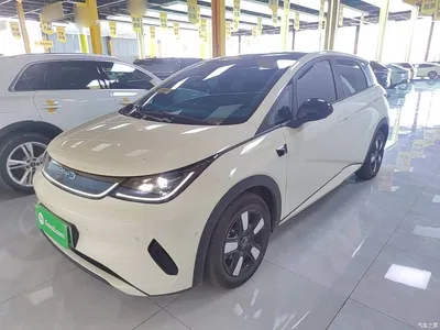 2025 BYD Dolphin Smart Drive Edition 410km Fashion Version, фото 1, лот 10259481