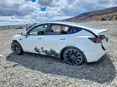 2024 TESLA MODEL Y, фото 2, лот 10855983