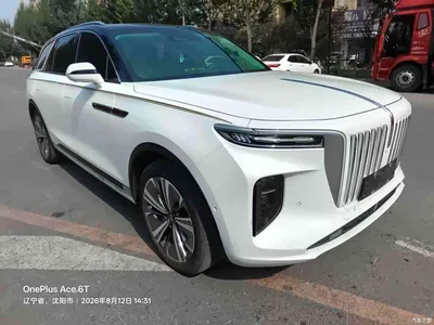 2021 Hongqi E-HS9 510km Flagship Comfort 6-seater, фото 2, лот 10286416
