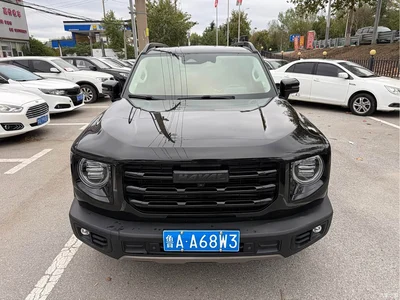 2021 Haval Big Dog 1.5T DCT 2WD Malinois Edition, фото 2, лот 11511490