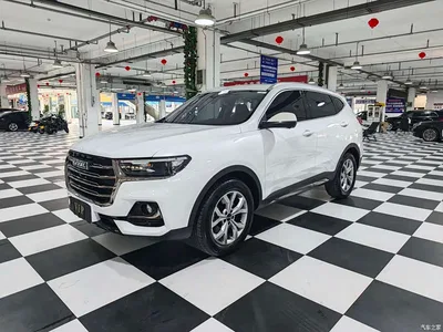 2021 Haval H6 Model National Trend Edition 1.5T Auto Champion, фото 1, лот 10301496