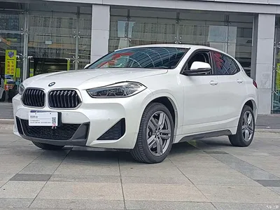 2021 BMW X2 xDrive25i M Sport Package, фото 1, лот 11062381