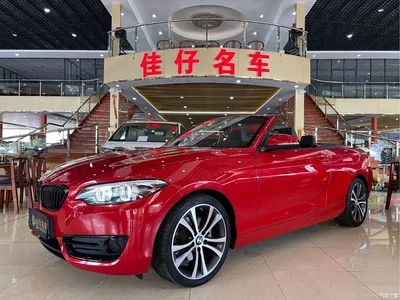 2019 BMW 2 Series (Import) 225i Convertible Coupe Sport Design Package, фото 1, лот 10808540