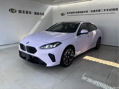 2025 BMW 2 Series 225L M Sport Package, фото 1, лот 10469976