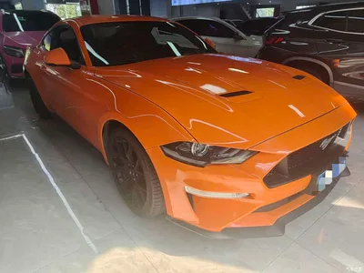 2019 Ford Mustang 2.3L EcoBoost, фото 3, лот 11568155