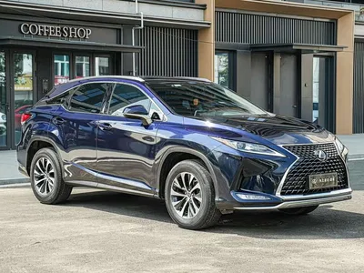 2020 Lexus RX 300 2WD Elite Edition China VI, фото 3, лот 11081772