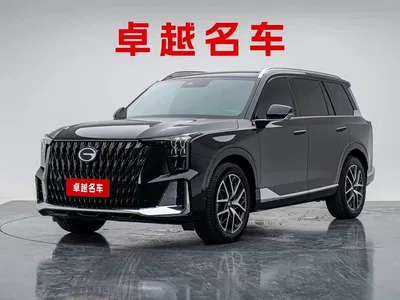 2024 GAC Trumpchi Trumpchi GS8 Dual Engine Series 2.0TM 2WD Premium Edition, фото 1, лот 11221523