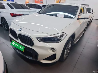 2019 BMW X2 (Import) sDrive25i Leading M Off-Road Package China VI, фото 1, лот 10841869