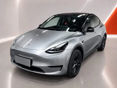 2024 Tesla Model Y Rear-Wheel Drive Version, фото 1, лот 11227642