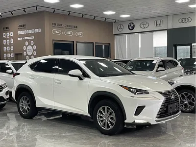 2020 Lexus NX 200 FWD Fengyi Edition China VI, фото 3, лот 10769094