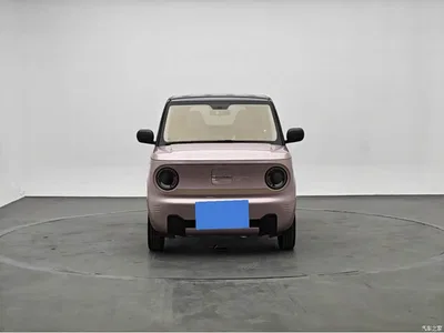 2024 Geely Galaxy Panda mini 200km Endurance Bear, фото 2, лот 10428513
